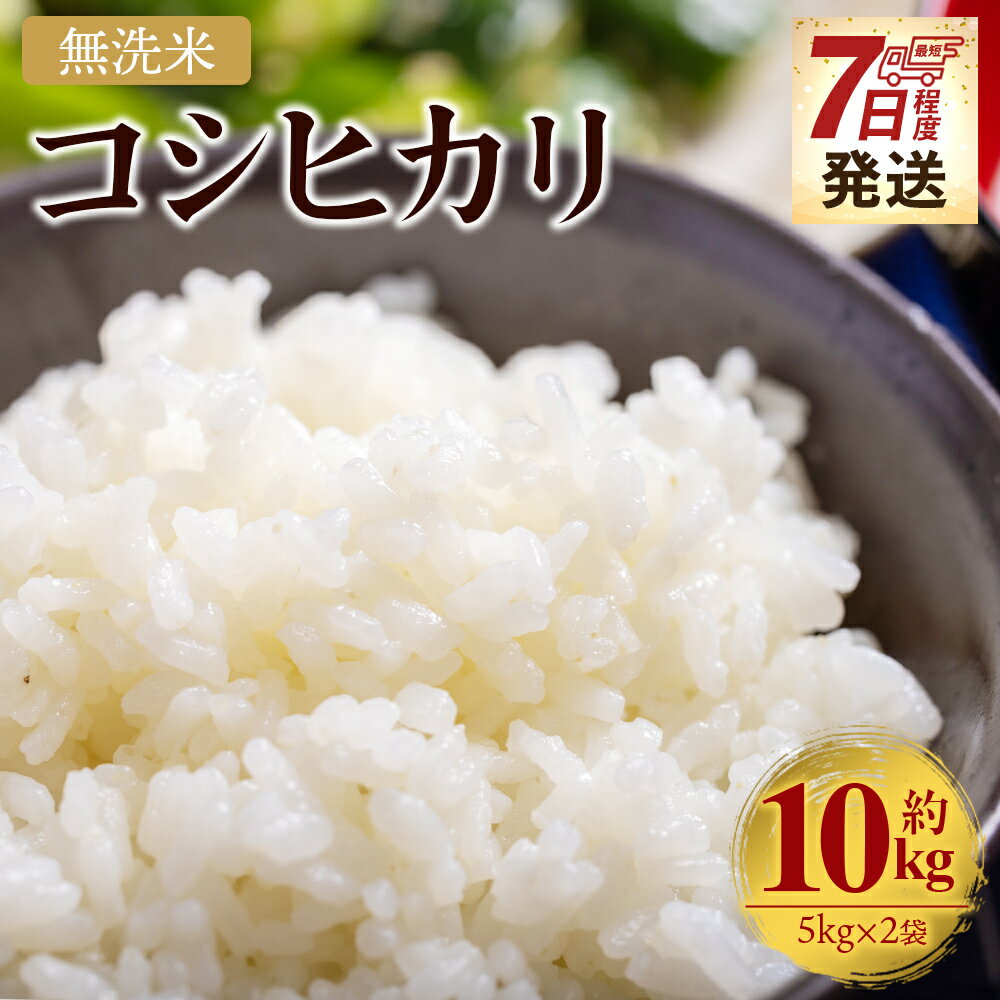 【ふるさと納税】【7日程度で発送】新米 令和7年産 無洗米 コシヒカリ 10kg - 国産 米 お米 おこめ こしひかり 白米 精米 10キロ ごはん おにぎり ご飯 ギフト 贈答 防災 備蓄 スピード発送 早い 早く届く 最短 配送 高知食糧株式会社 高知県 香南市【常温】