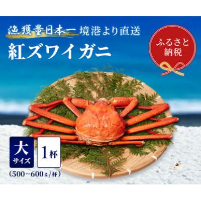 ふるさと納税 智頭町 【蟹セレブ】ズワイガニ(紅ズワイガニ)大1杯(500〜600g×1)