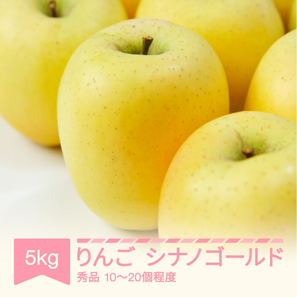 【ふるさと納税】【先行予約】 シナノゴールド 秀品 5kg りんご 令和7年産 2025年産 果物 送料無料 ※沖縄・離島への配送不可 sb-risgx5