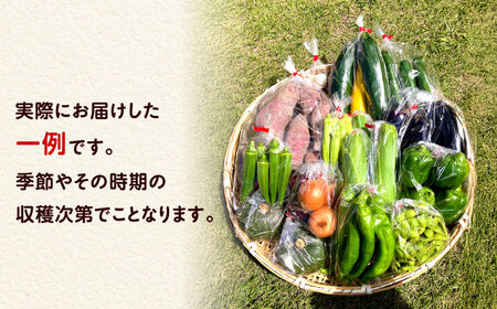 【全6回定期便】 米ぬかで育てた！旬のお野菜＆平飼い卵セット ベジ彩ファーム[AOEJ006] 野菜