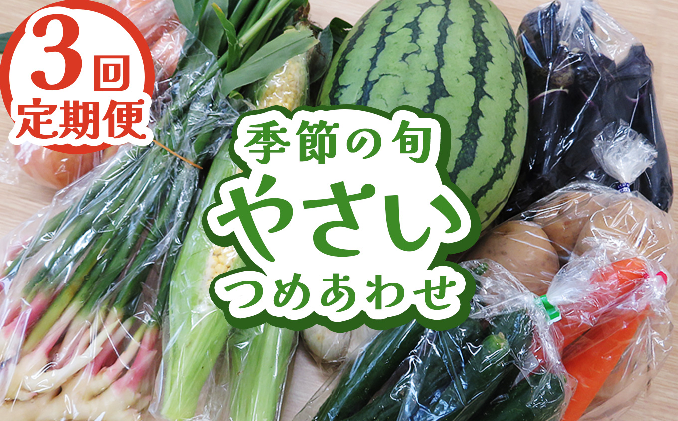 【定期便3回】下野市産 季節の旬野菜詰め合わせ | 旬野菜 詰め合わせ 野菜セット 地元野菜 栃木県産 新鮮野菜 産地直送 野菜通販 無農薬野菜 季節野菜 朝採れ野菜 地場野菜 お取り寄せ 下野市野菜 野菜詰合せ 有機野菜 地元農家 栃木野菜 栃木県 下野市