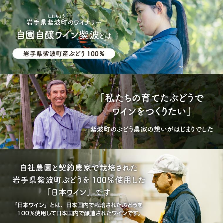 レプリゼント紫波 紅白2本セット (AL105) ワイン 辛口 赤 白 ブドウ 国産ワイン 自園自醸ワイン 日本ワイン 紫波町