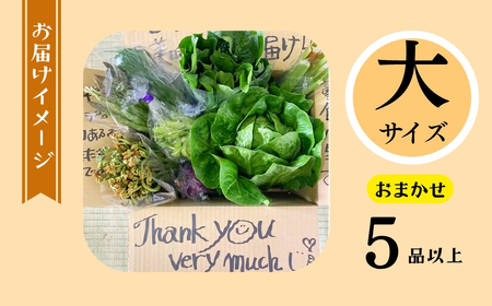 【先行予約】～旬っていちばんのごちそう～ひぐらし農場 季節の野菜便（秋）大サイズ（7-A38）