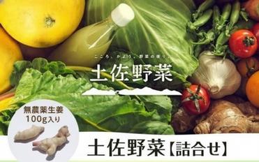 【土佐野菜】野菜の詰め合わせと無農薬生姜100g付き【セット 新鮮 野菜  人気 おすすめ 高知県 南国市】