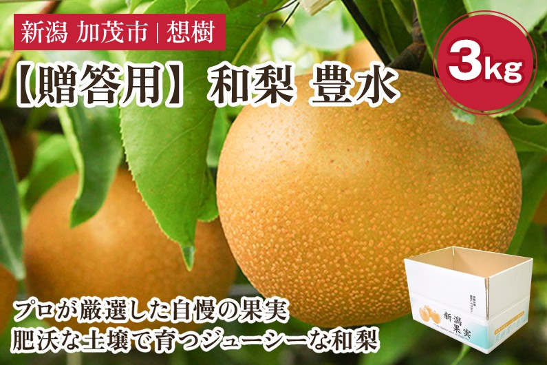 
                  【2026年先行予約】【贈答用】新潟県産和梨 豊水 約3kg（4～9玉）《9月上旬～順次出荷》 梨 なし ナシ 豊水 ほうすい  果物 果樹 フルーツ 樹上完熟 加茂果樹専門家集団 加茂市 想樹
                