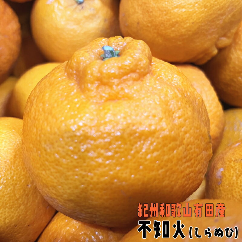 【ふるさと納税】【先行予約】 有田育ちの濃厚 不知火 ( デコポン と同品種)( 訳あり 家庭用) ※2026年1月下旬～2026年3月下旬に順次発送 ※北海道・沖縄・その他離島地域は発送不可 / しらぬい みかん 和歌山 有田 柑橘 果物 フルーツ くだもの 果実 有田 濃厚 //dekopon