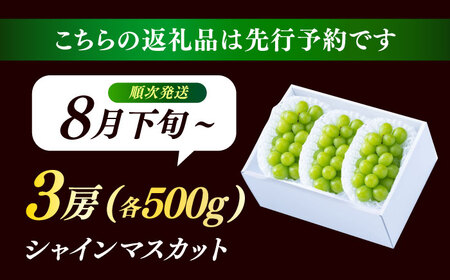 【先行予約・25年8月以降発送】日田産シャインマスカット3房(約1.5kg)　日田市 / 南国フルーツ株式会社 ブドウ 葡萄 ぶどう[ARET006]