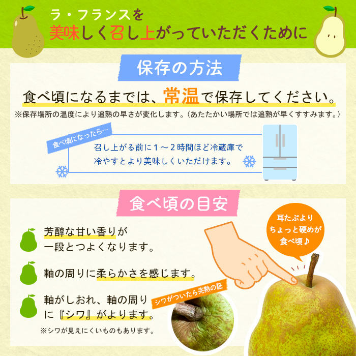 ラ・フランス 約5kg 秀品 (10～16玉) 3L～6L [11月発送] FY25-831