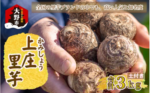 【先行予約】日本の美味い里芋！秋の味覚 上庄里芋 3kg【11月より順次発送】