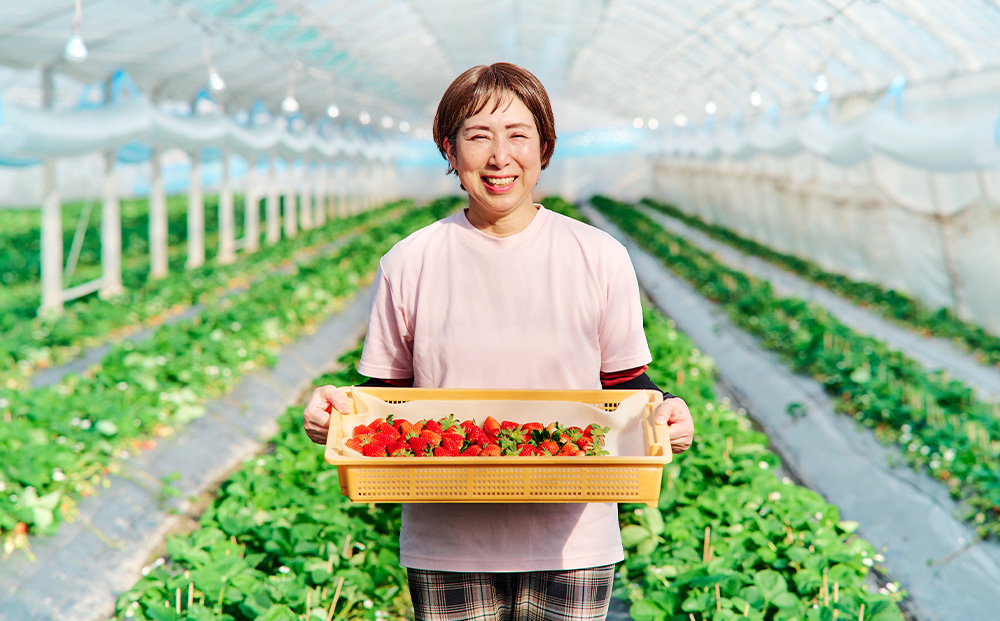 【先行受付 令和8年1月より発送開始】香月さんちのいちご(さがほのか)280g×4パック【いちご イチゴ 苺 さがほのか 大玉 大粒フルーツ 果物  数量限定 香月農園 佐賀県産】(H017116)