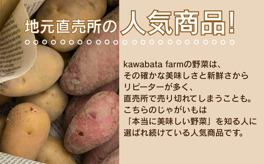 【令和8年度産じゃがいも先行予約】じゃがいも 2.5kg ※6月より発送予定 ニシユタカ ジャガイモ ポテト 馬鈴薯 カレー シチュー 肉じゃが スープ サラダ ポタージュ ポテトサラダ フライドポテ