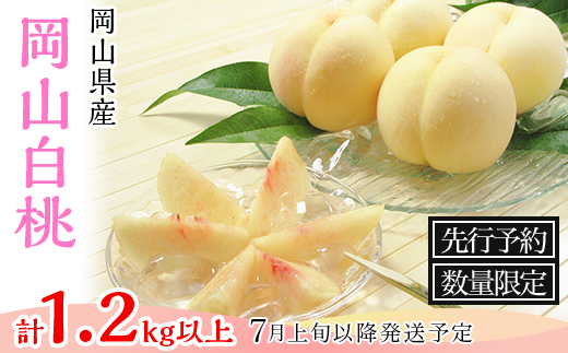74-03 白桃5～6玉（1.2kg以上）【2025年7月上旬～8月上旬頃発送予定】