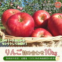 【ふるさと納税】北海道七飯町産 りんご 10kg 有機質肥料使用 【 北海道七飯町 りんご 減農薬 有機質肥料 健康 オーガニック 美容 】 NAR003