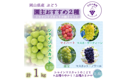 ＜2026年先行受付＞岡山　花笑み農園のブドウ『園主おすすめシャイン親子セット』【1718266】