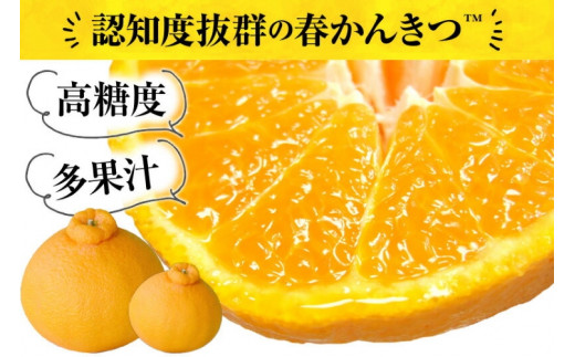 田村産「デコ」不知火[約3kg]湯浅町田村産春みかん(果実サイズおまかせ)/紀伊国屋文左衛門本舗　※2026年2月中旬～2024年3月下旬頃に順次発送予定(お届け日指定不可)【sutb493A】