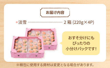 【先行予約】ほんのりピンク 希少 白いちご「淡雪」220g×4パック【岸川農園】[IAP033]