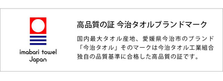 （今治タオルブランド認定品）今治タオル ホテルズ バスタオル２枚セット(クラウドブルー)ヒオリエ【I001900BT2CB】