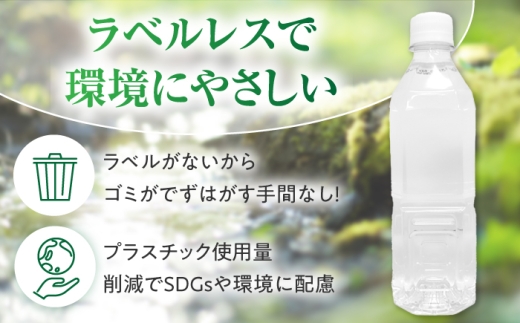 【全6回定期便（毎月お届け）】ミネラルウォーター （500mL×24本）×1箱 ラベルレス [BDBE004-10]