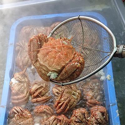 ふるさと納税 白老町 【浜ゆで】北海道産 冷凍ボイル毛ガニ (1尾300g〜340g前後) 2尾 |  | 01