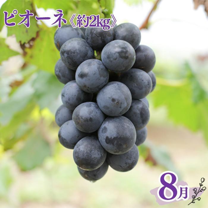 【定期便全3回】産直・厳選フルーツ定期便【TM190】　XH92184_イメージ3