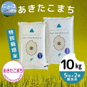 【ふるさと納税】【令和5年産】【無洗米】特別栽培米あきたこまち5kg×2　【 米 精米 白米 ご飯 節水 環境 つや 粘り 甘味 美味しい 人気 安心 安全 】　お届け：11月中旬～発送