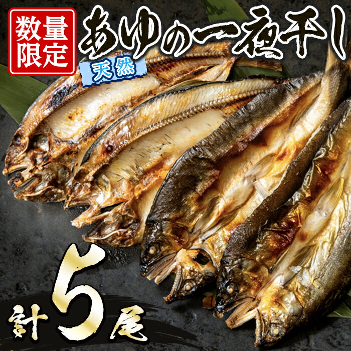 【ふるさと納税】久慈川産 天然あゆの一夜干し 鮎 あゆ アユ 魚 魚介 川魚 一夜干し 簡単 調理 冷凍 【木村信次商店/丸信ドライブイン】【ho1551】
