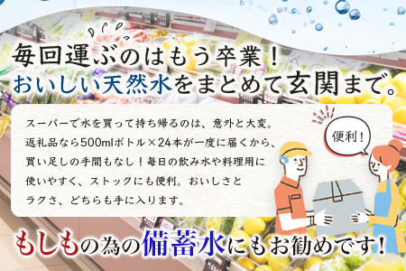 【定期便10回】 G7広島サミット提供『多良岳山系の水』 （500ml×24本×10回）天然水 ナチュラルウォーター定期便 毎月お届け 安心続く 佐賀県 鹿島市 送料無料 J-9