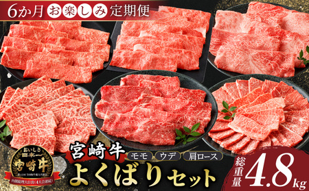 6か月お楽しみ定期便『宮崎牛よくばりセット』総重量4.8kg 肉 牛 牛肉 おかず 国産_T030-184
