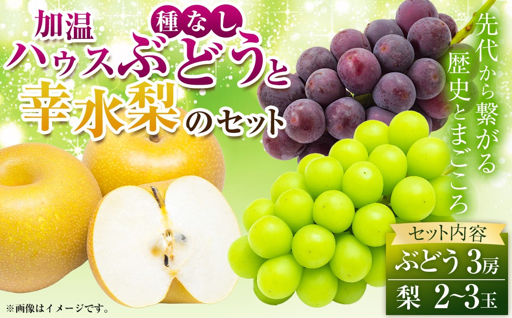 
            【先行予約】種なし 加温ハウスぶどう （3房） 幸水梨 （2～3玉） セット 【2026年7月下旬～8月上旬より順次発送予定】 【春光園】 有機配合肥料使用 種なし ぶどう ブドウ 葡萄 梨 なし 果物 フルーツ 詰め合わせ 福岡県 うきは市 冷蔵
          