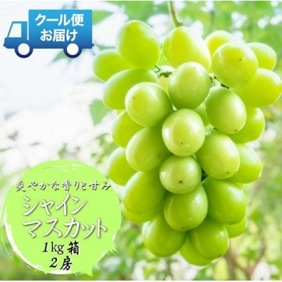 　2026年発送　山梨県 山梨市　安心のクール便発送　シャインマスカット 1kg 　2房【配送不可地域：離島・沖縄県】