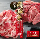 【ふるさと納税】年内お届け 年内配送 訳あり 飛騨牛 切落とし 600g 焼肉 切落し 600g 冷凍真空パック | 肉 お肉 切り落とし 薄切り すき焼き すきやき 焼肉 焼き肉 やきにく 黒毛和牛 和牛 人気 おすすめ 牛肉 ギフト 年末配送 年末発送 日時指定 7日以内お届け [MS027]