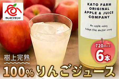 栃木県矢板市産 樹上完熟100％りんごジュース 720ml×6本入  | 林檎 リンゴ 果汁100% 産地直送  