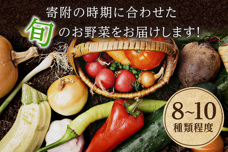 野菜 定期便 4回【アスカ有機農園】旬の京丹後野菜セットS（栽培期間中　農薬・化学肥料不使用）＜京都 オーガニック アクション加盟＞京野菜セット・野菜 詰め合わせ・栽培期間中 無農薬・有機野菜（オーガ