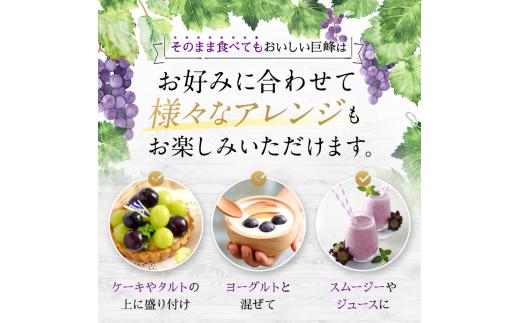 種なしぶどうの定番！