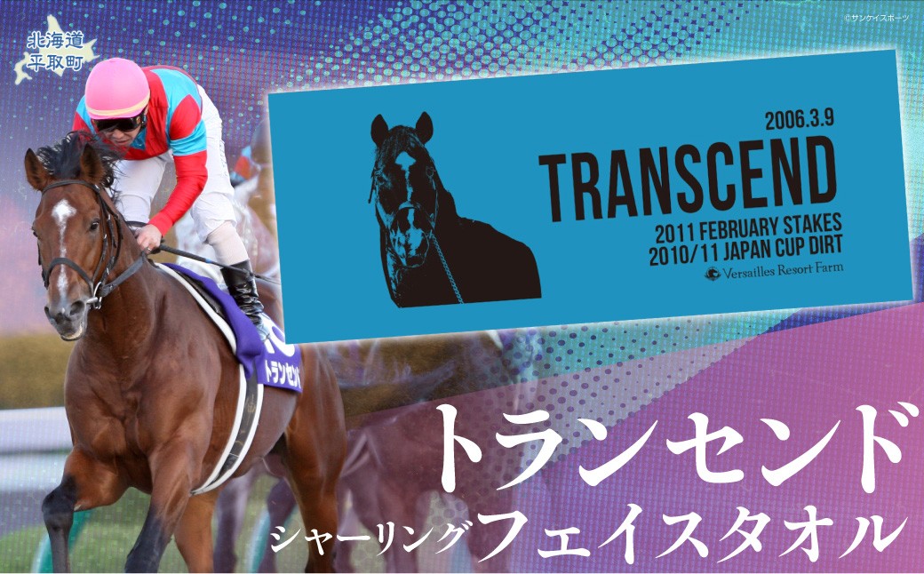 
                  【トランセンド】シャーリングフェイスタオル 【ふるさと納税 人気 おすすめ ランキング 馬 競馬 競走馬 引退馬 トランセンド タオル フェイスタオル 生活 日用品 日高 北海道 平取町 びらとり 送料無料】 BRTV155
                