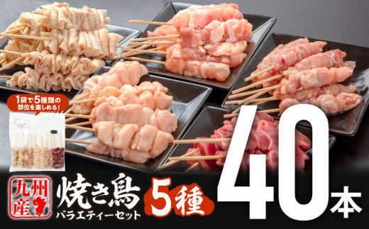 【5月発送予定】九州産若鶏 焼き鳥5種(40本)バラエティーセット_M146-015_may