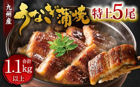 九州産 うなぎ 蒲焼 特上 5尾 計1.1kg以上 (1尾あたり220～235g)【2025年11月発送】