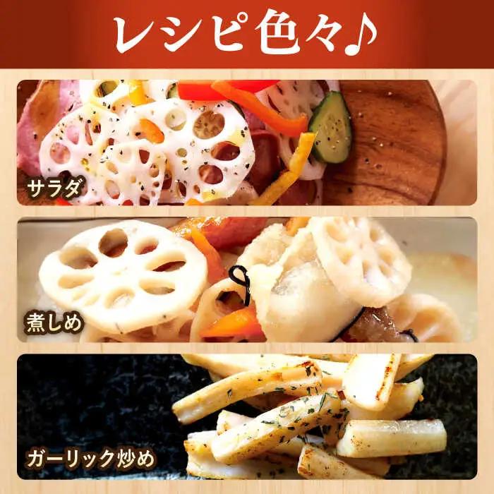 幻の唐比れんこん 3kg  AHCA003 れんこん
