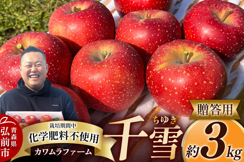 【26年10月下旬～発送】りんご 千雪 約3kg カワムラファーム【贈答用】青森 果物 フルーツ 林檎 リンゴ くだもの [先行受付 アップル おいしい ちゆき お歳暮 お中元 ギフト プレゼント 果
