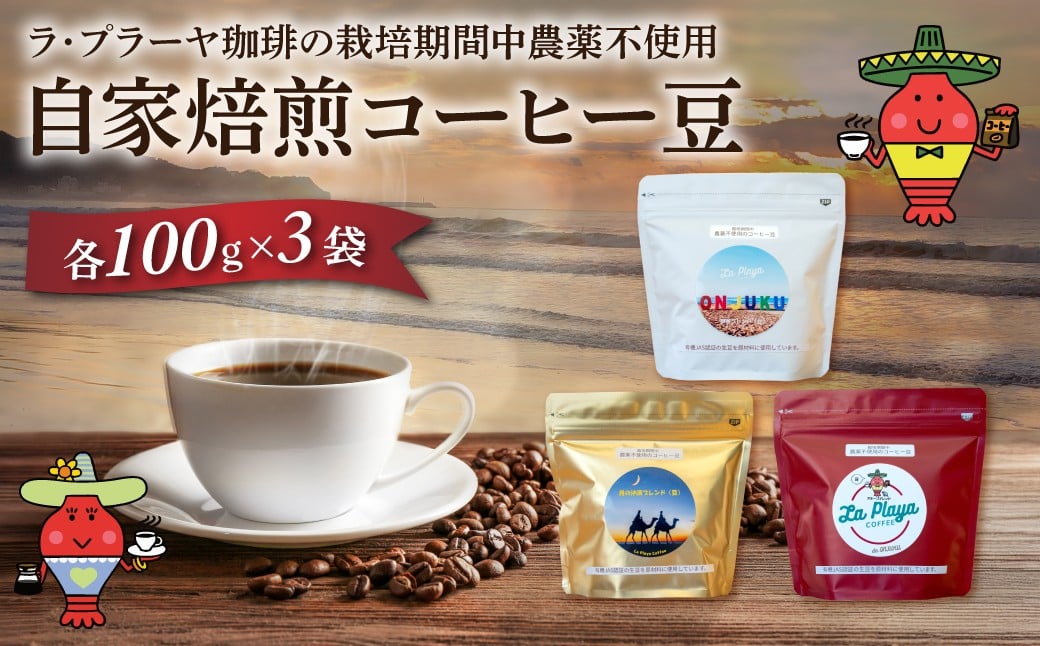 
            ラ・プラーヤ珈琲の『栽培期間中農薬不使用』自家焙煎コーヒー豆（100g×3袋） ONJM001 / コーヒー豆 コーヒー 豆 珈琲 栽培期間中農薬不使用 ブレンドコーヒー ブレンド ご当地 ご当地コーヒー 自家焙煎 ギフト 贈り物 プレゼント La Playa Coffee
          