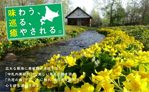 村内在住画家によるメルヘンチックな絵画「北国の詩シリーズ」F3サイズ①[X15-5]