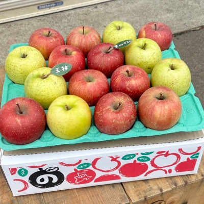 【青森市産　完熟葉とらずふじ・王林】 約5kg 16～24玉(家庭用)【配送不可地域：離島・沖縄県】