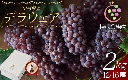≪2027年先行予約≫【相良果樹園】贈答用 山形県産 種無しぶどう デラウェア 2kg(12～16房) 秀品 個包装 2027年7月上旬から順次発送 F2Y-7052