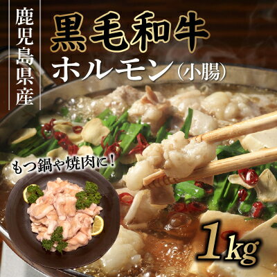 【ふるさと納税】鹿児島県産黒毛和牛ホルモン(小腸)1kg【配送不可地域：離島】【1185883】