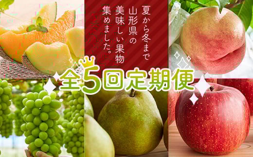 【先行予約 令和7年度発送】夏から冬まで山形県の美味しい果物集めました。全5回定期便 FSY-1836