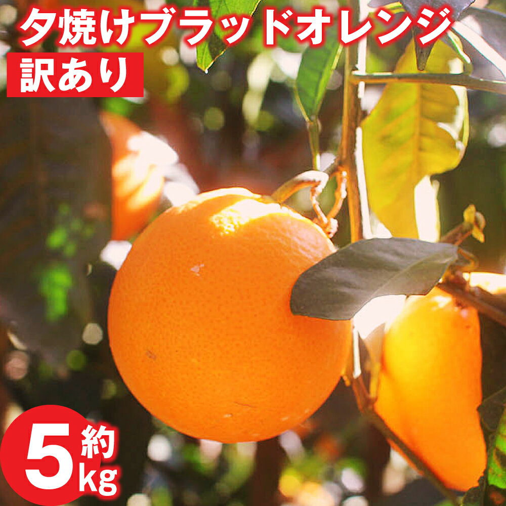 【ふるさと納税】夕焼けブラッドオレンジ 約5kg 訳あり ブラッドオレンジ 大小詰め合わせ タロッコ オレンジ 果物 フルーツ 熊本県産 送料無料【2026年2月下旬-6月下旬発送】