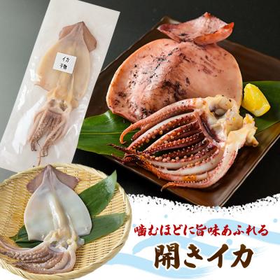 ふるさと納税 八峰町 人気干物 3種×各4枚セット 計12枚)|16_szk-171001 |  | 03