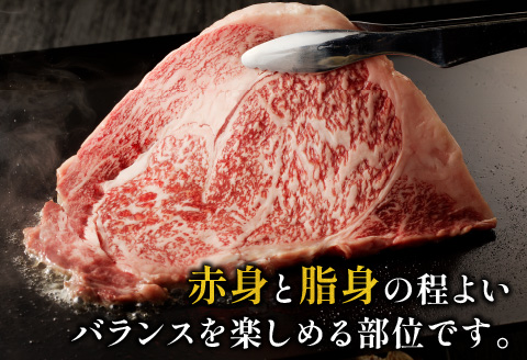 宮崎牛 サーロインステーキ 2枚 合計400g |牛肉 牛 肉 サーロイン ステーキ 2枚