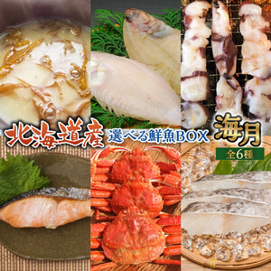 【中身は届いてからのお楽しみ】お魚お楽しみBOX 海月(6種）