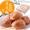 【ふるさと納税】梅干し 紀州南高梅 はちみつ 極 塩分 約6% 500g 850g 1パック 《60日以内に出荷予定(土日祝除く)》 株式会社やまだ 和歌山県 日高川町 梅 はちみつ梅 梅干し 米 おかず 国産 送料無料